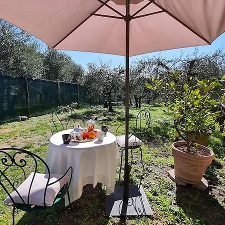 Holiday home Il Cantuccio 2 Pescaglia